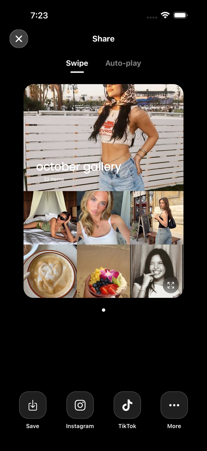 The share screen with Instagram and TikTok